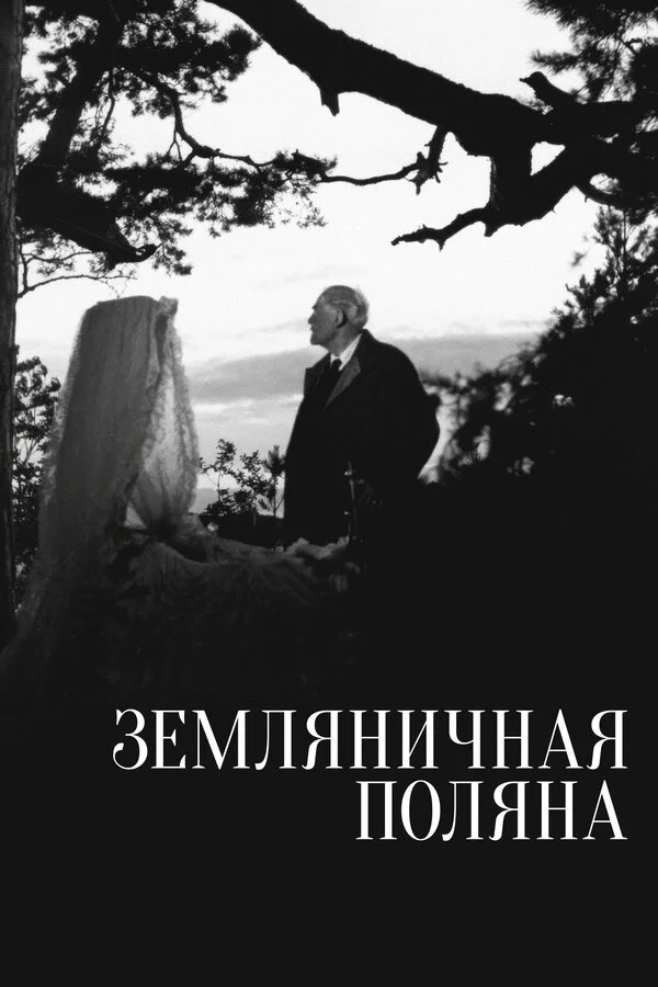 Земляничная поляна 1957 смотреть онлайн бесплатно